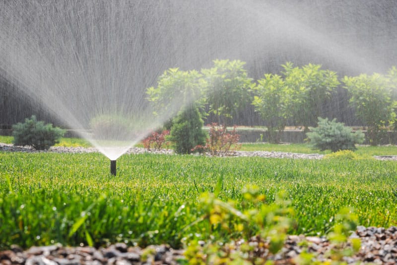 cenral united coop bca products fertilizer green grass lawn with a water sprinkler 800 cenral united coop bca products fertilizer green grass lawn with a water sprinkler 800