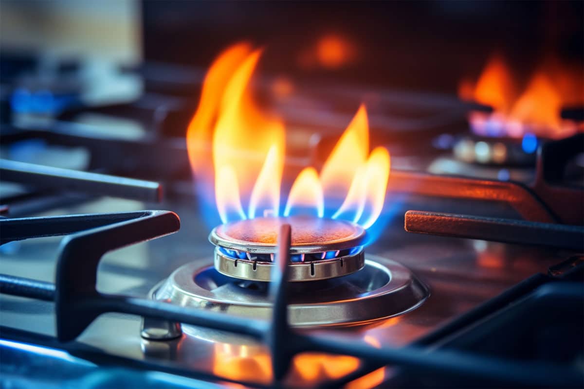 propane burner w propane burner w