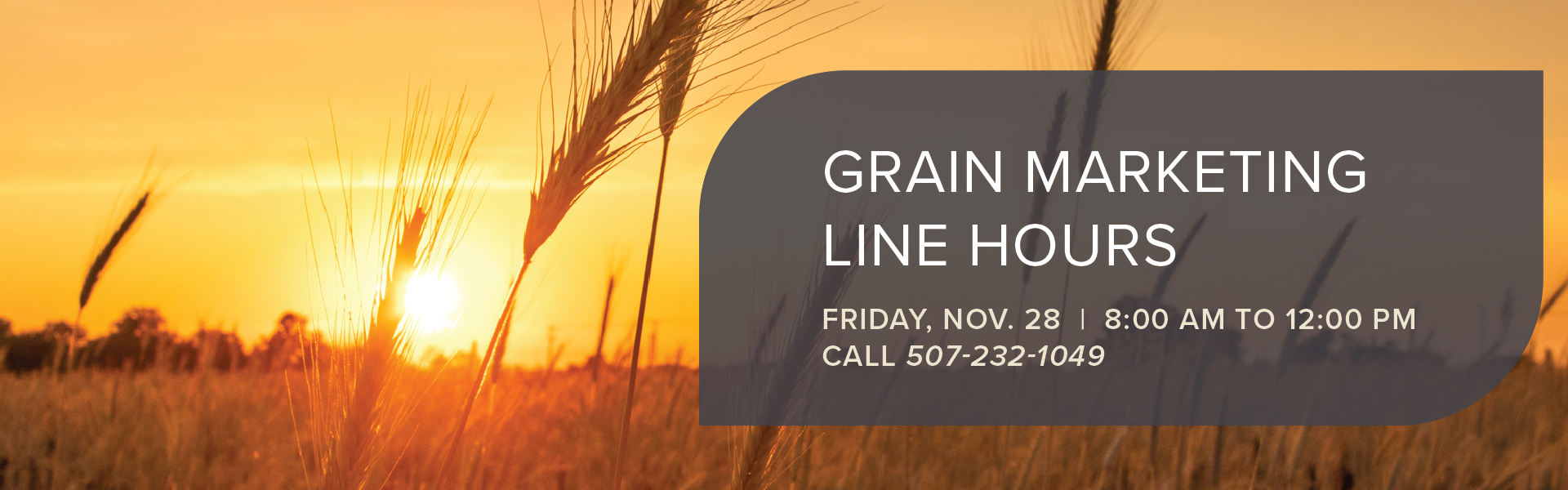 Grain Marketing Line Hours Friday Nov 28 8 am to 12 pm