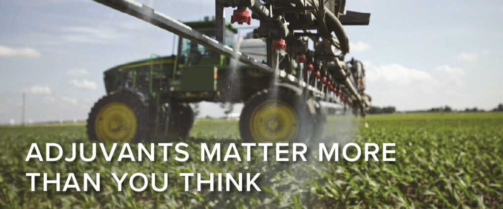 adjuvants email 1200x400