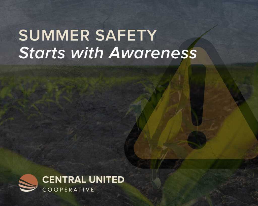 summer safety 1350x1080
