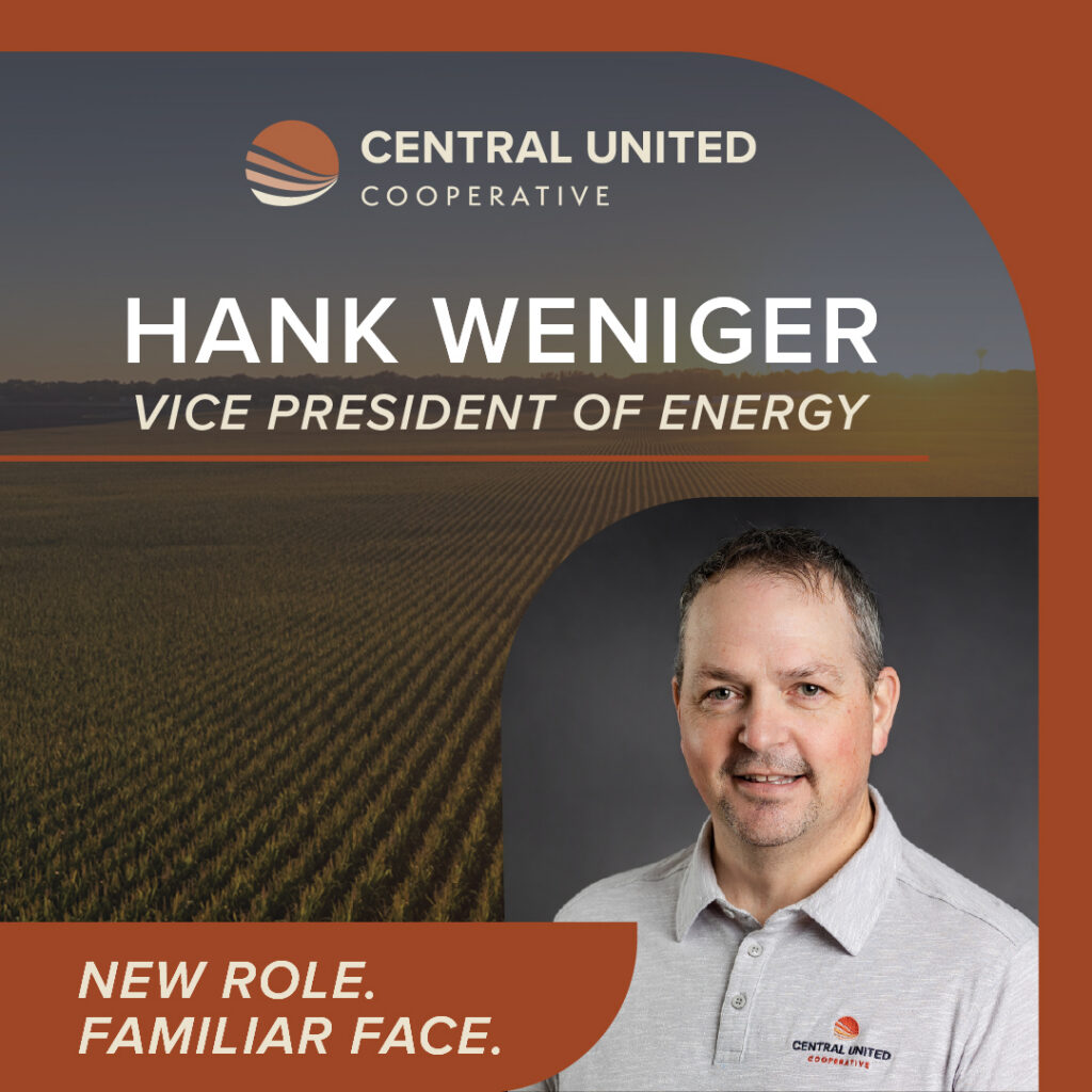 vp of energy hank blog preview