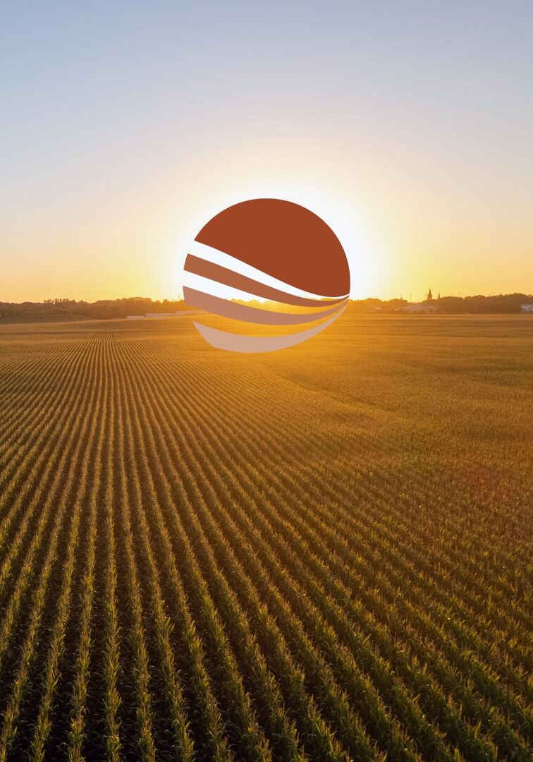fallback image field with sunset and logo icon web